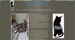 Desktop Screenshot of abandonedangelsrescue.org